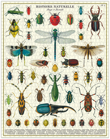 Image of Cavallini & Co. Bugs & Insects 1000 Piece Puzzle finished.