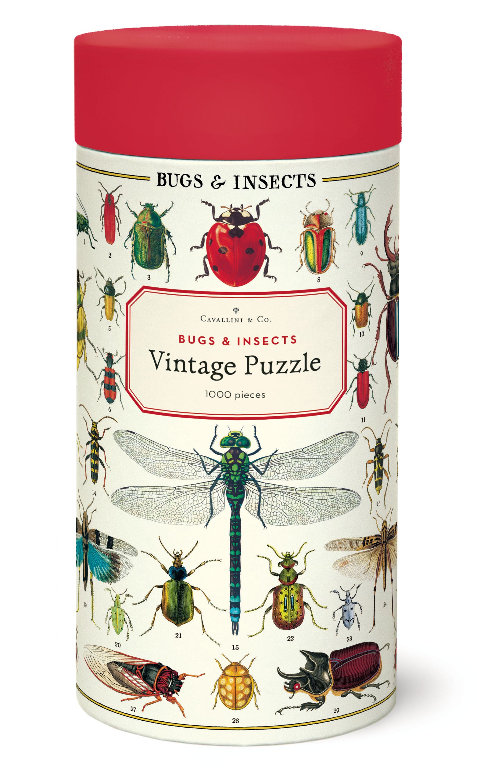 Image of Cavallini & Co. Bugs & Insects 1000 Piece Puzzle package.