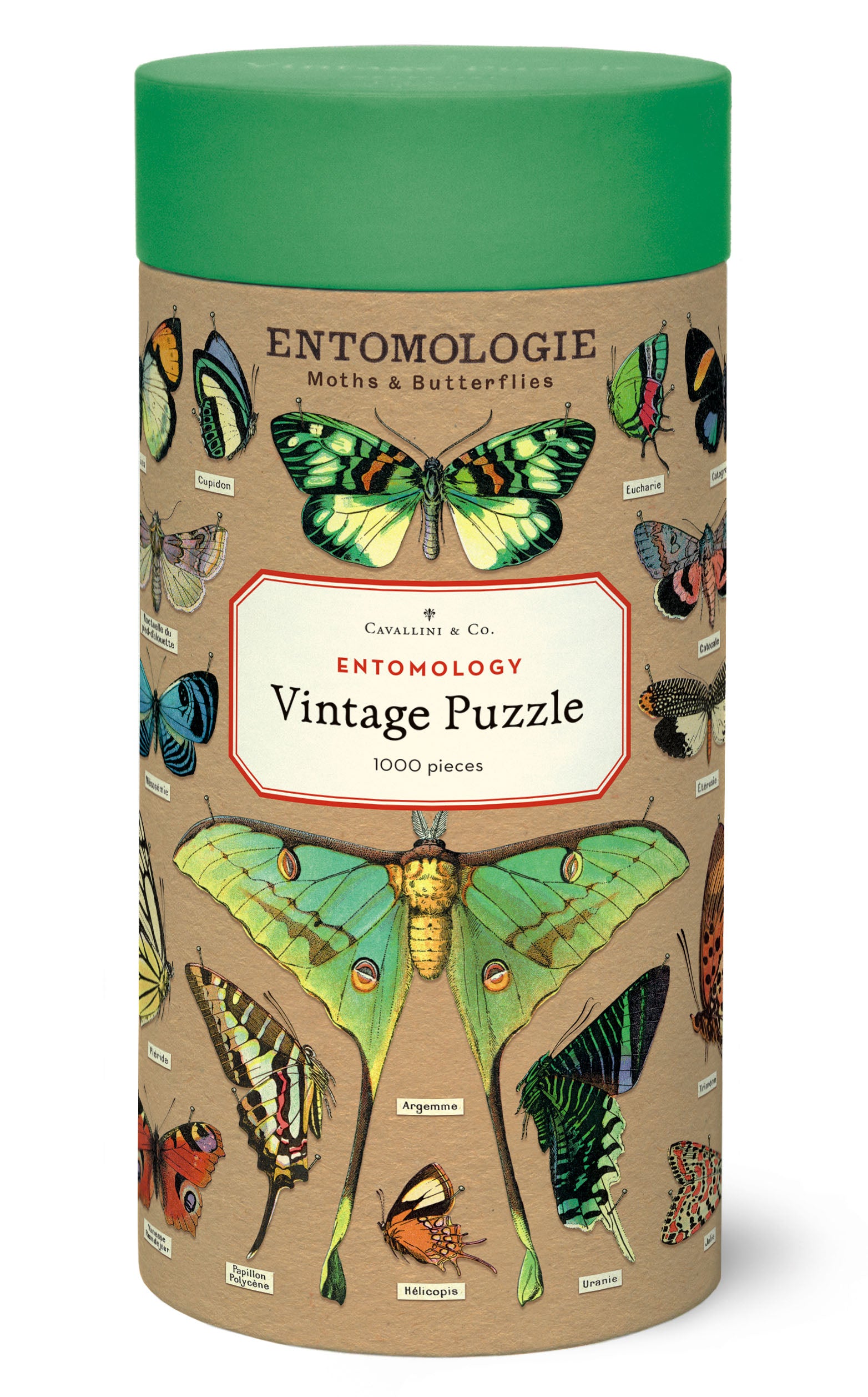 Cavallini & Co. Entomology 1000 Piece Puzzle