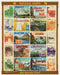 Cavallini & Co. National Parks Collage 1000 Piece Puzzle finished puzzle