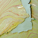 Handmade Marbled Paper- Sage Green with Red, Yellow-Green, Gold showing front and back sides with edge deckle