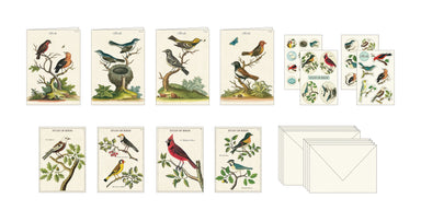 image of contents of Cavallini & Co. Study of Birds Stationery Set