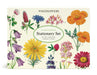 Cavallini & Co. Wildflowers Stationery Set front cover image