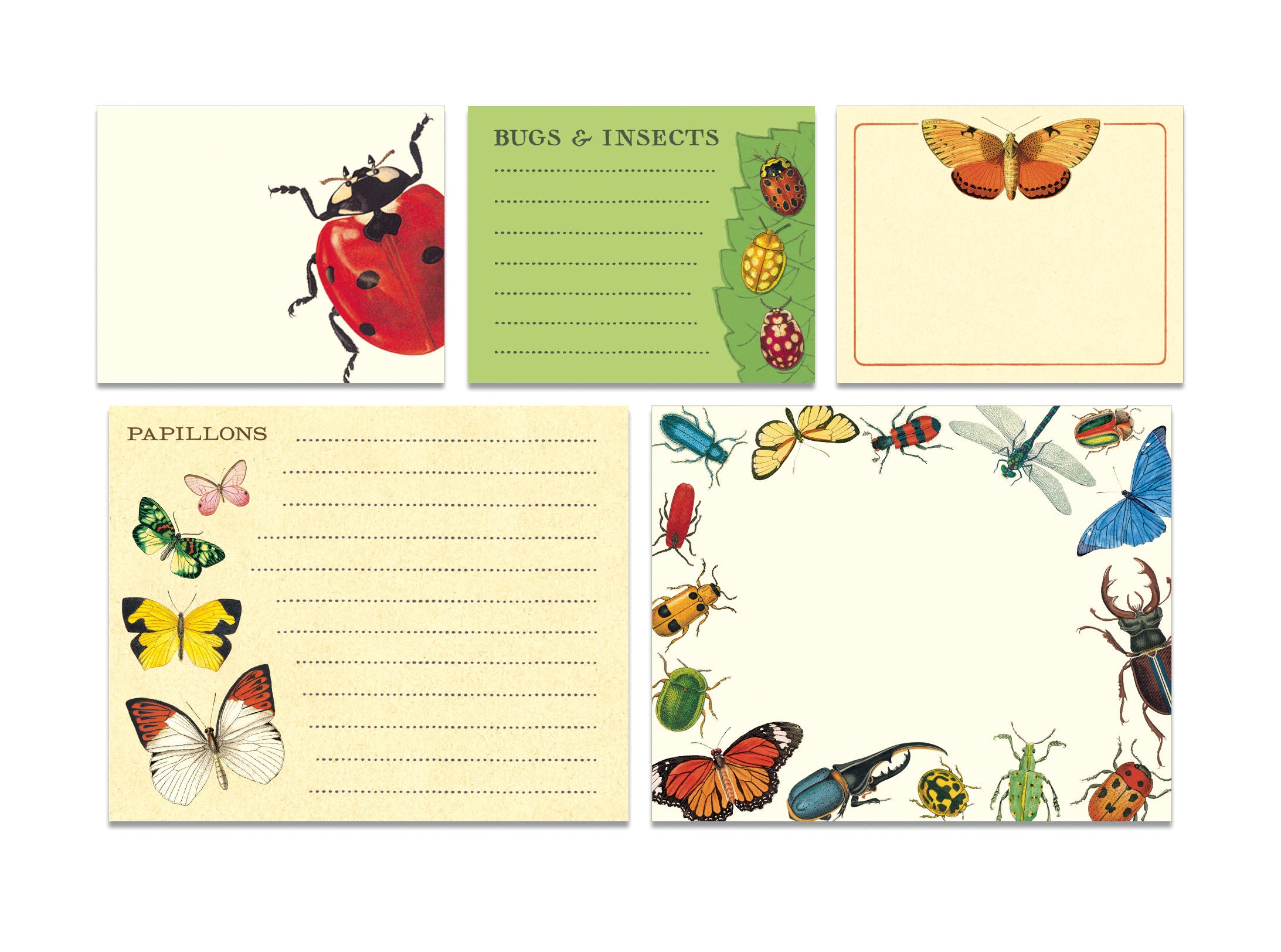 Bug Note Cavallini & Co. Sticky Notes Tin- Bugs & Insects — Two Hands Paperie