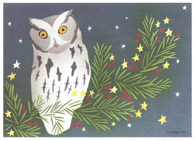 Crane Creek Graphics Holiday Screech Owl Notecard Folio- set of 10 cards and envelopes