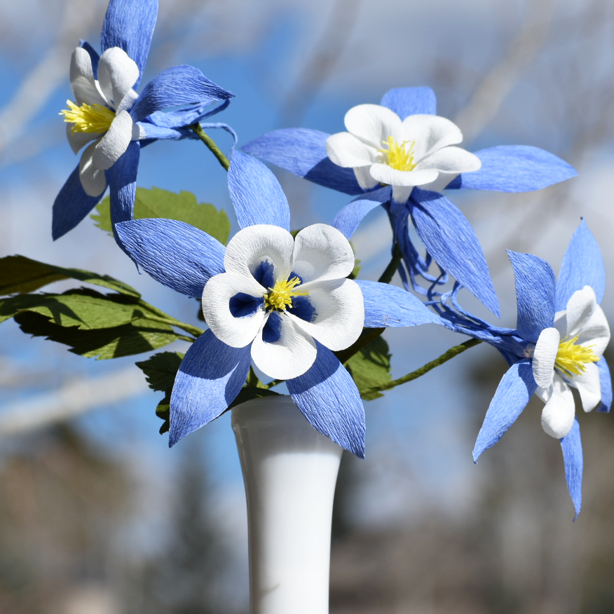 Blue and white flowers with yellow centers in a vase against a blurred natural background