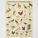 A vintage-style educational poster titled 'STATE BIRDS OF THE UNITED STATES' featuring numerous illustrated birds with their names printed below, on a beige background with 'BLACKWING VOLUMES VOL 458' at the bottom left.