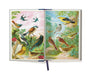 Cavallini & Co. Bird Window Journal- - Open book with colorful illustrations of birds on each page inside the front cover