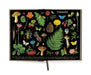 Cavallini & Co. Forage Window Journal-  illustrations of plants and fungi on a black background inside front cover
