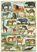 Cavallini & Co. Animals Decorative Paper