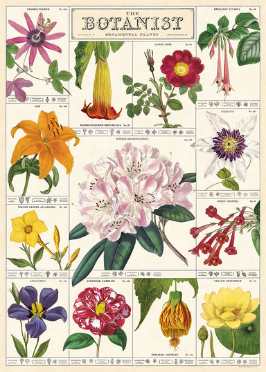 Cavallini & Co. Botanist Decorative Paper