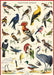 Cavallini & Co. British Birds Decorative Paper