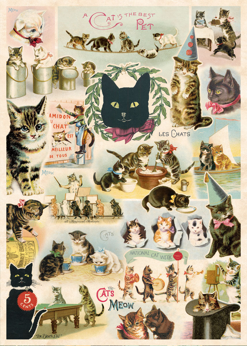Cavallini & Co. Cats Decorative Paper
