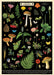 Cavallini & Co. Field Guide to Butterflies Decorative Paper- Illustrations of various plants, mushrooms, and insects on a black background with text at the top.