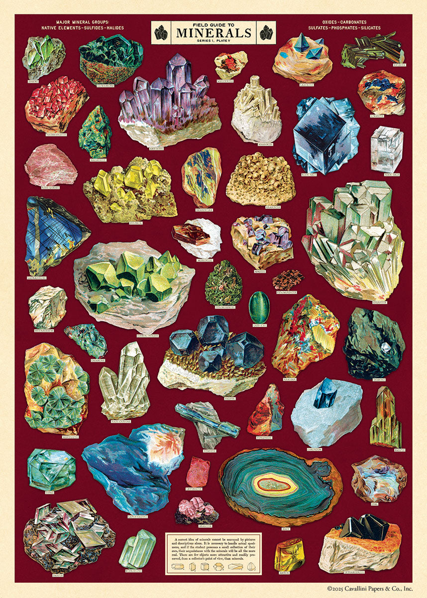 Cavallini & Co. Field Guide to Minerals Decorative Paper