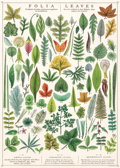Cavallini & Co. Folia Leaves Decorative Paper