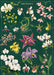 Cavallini & Co. Orchids Decorative Paper