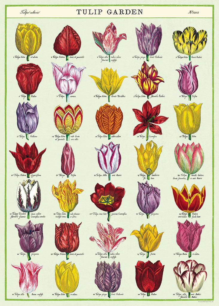 Cavallini & Co. Tulip Garden Decorative Paper — Two Hands Paperie