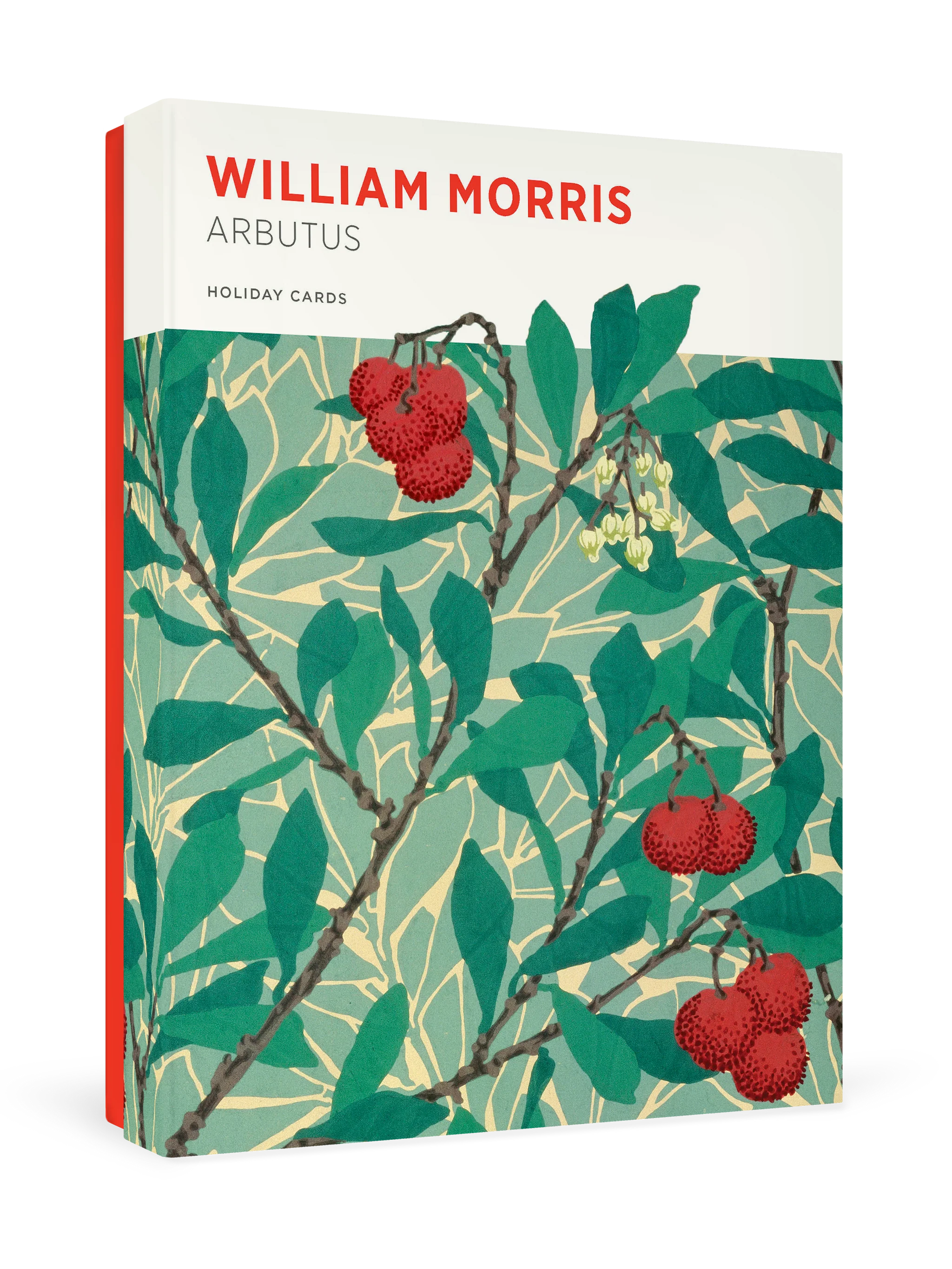 William Morris: Arbutus Holiday Cards-  with a design of leaves and red berries on a white background