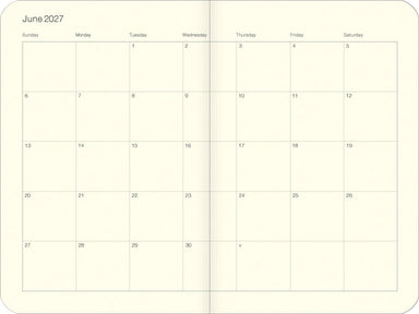 2027 Cavallini & Co. Birds Weekly Planner- interior month at a glance example page
