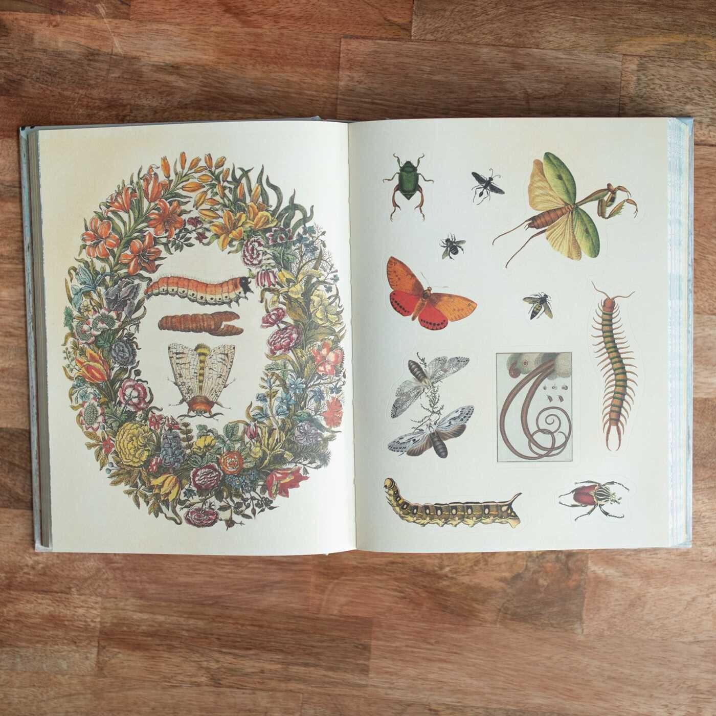 Open book on a wooden surface with illustrations of flowers, insects, and a wreath.