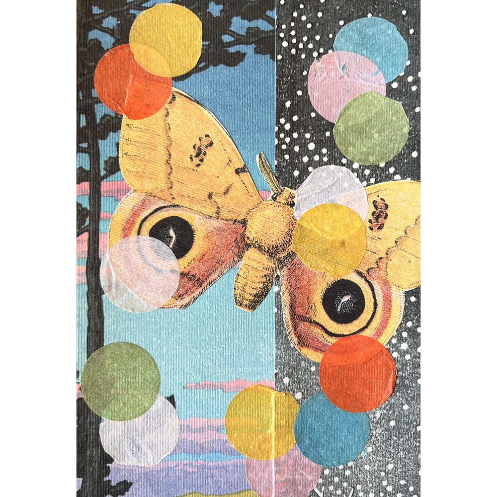 Colorful butterfly collage with tissue paper circles on a textured background