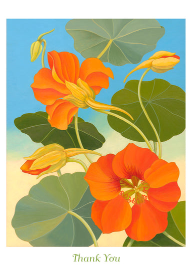 Nasturtium Small Boxed Thank You Cards