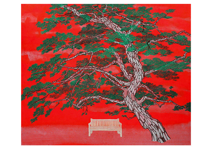 Sacred Grove by Kyung-Hwa Yu Boxed Notecards