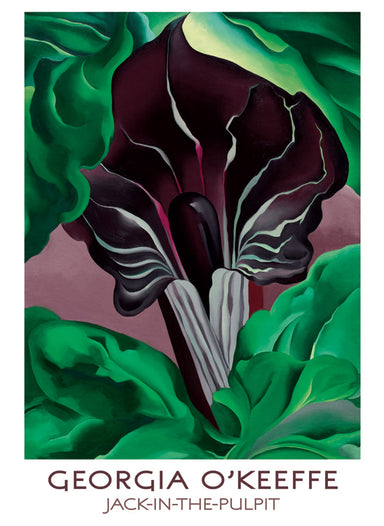 Georgia O'Keeffe Jack-in-the-Pulpit Boxed Notecard Set