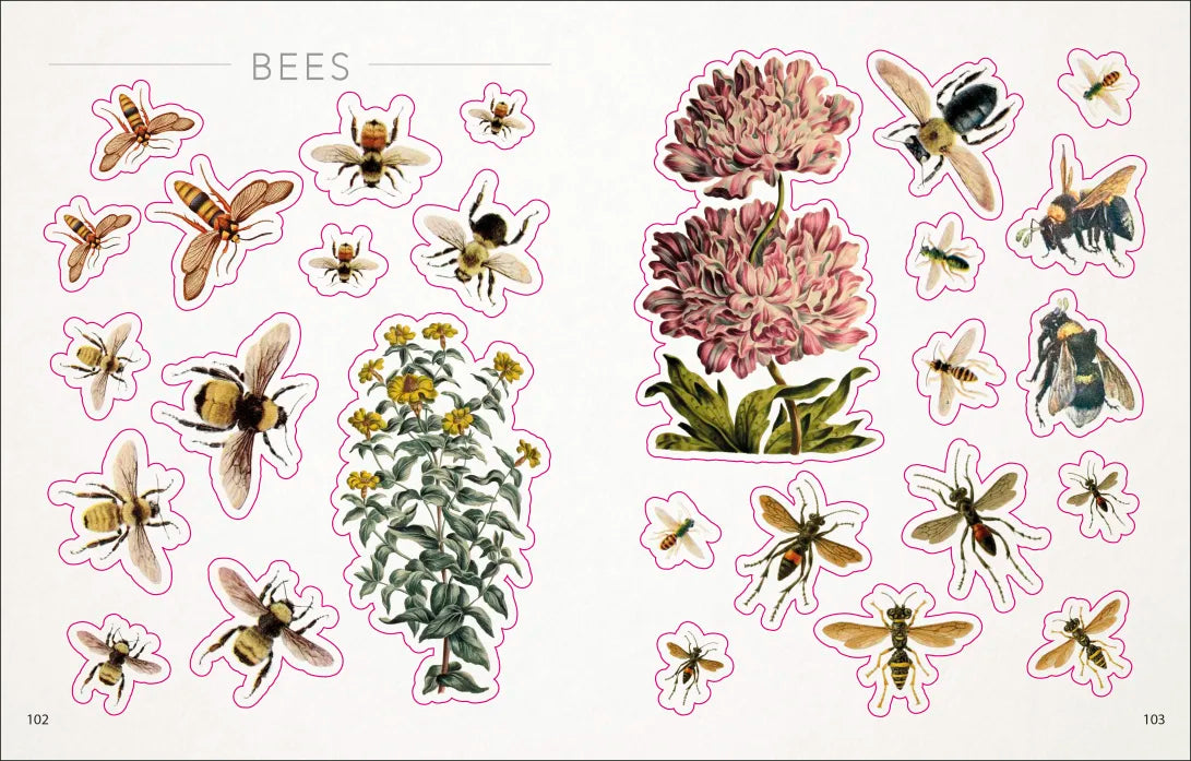 The Bees, Birds, and Butterflies Sticker Anthology