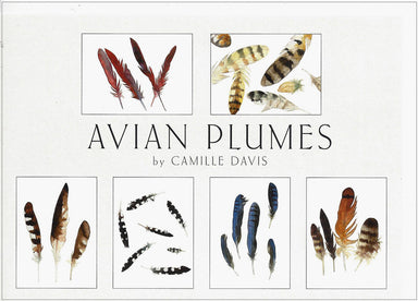 Crane Creek Graphics Avian Plumes notecard folio features delicate images by the artist Camille Davis. Feathers in the set include those of the cardinal, osprey, woodpecker, stellar's jay, red tailed hawk, and those from the nest of an owl. 