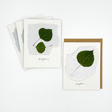 Black Eyed Susie Designs Pack of Four Cards and Envelopes- Aspen Leaves