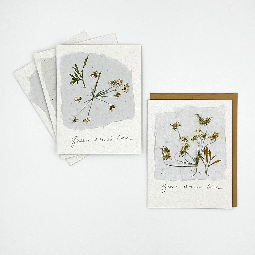 Black Eyed Suzie Designs Pack of Four Cards and Envelopes- Queen Anne's Lace
