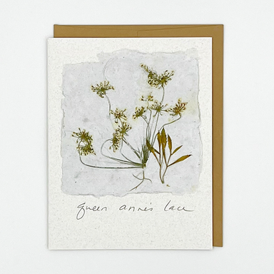 Black Eyed Suzie Designs Pack of Four Cards and Envelopes- Queen Anne's Lace