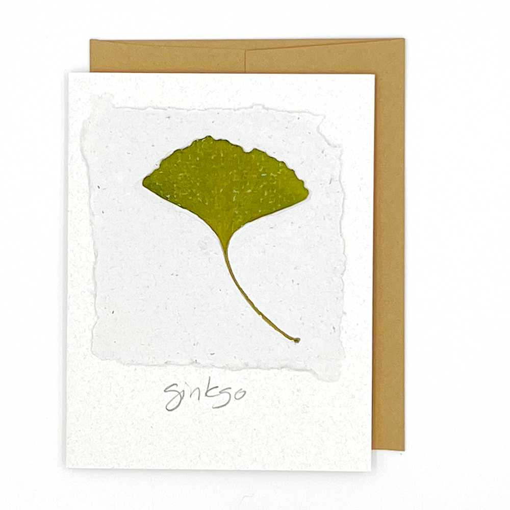 Black Eyed Suzie Designs Pack of Four Cards and Envelopes- Ginkgo Leaves