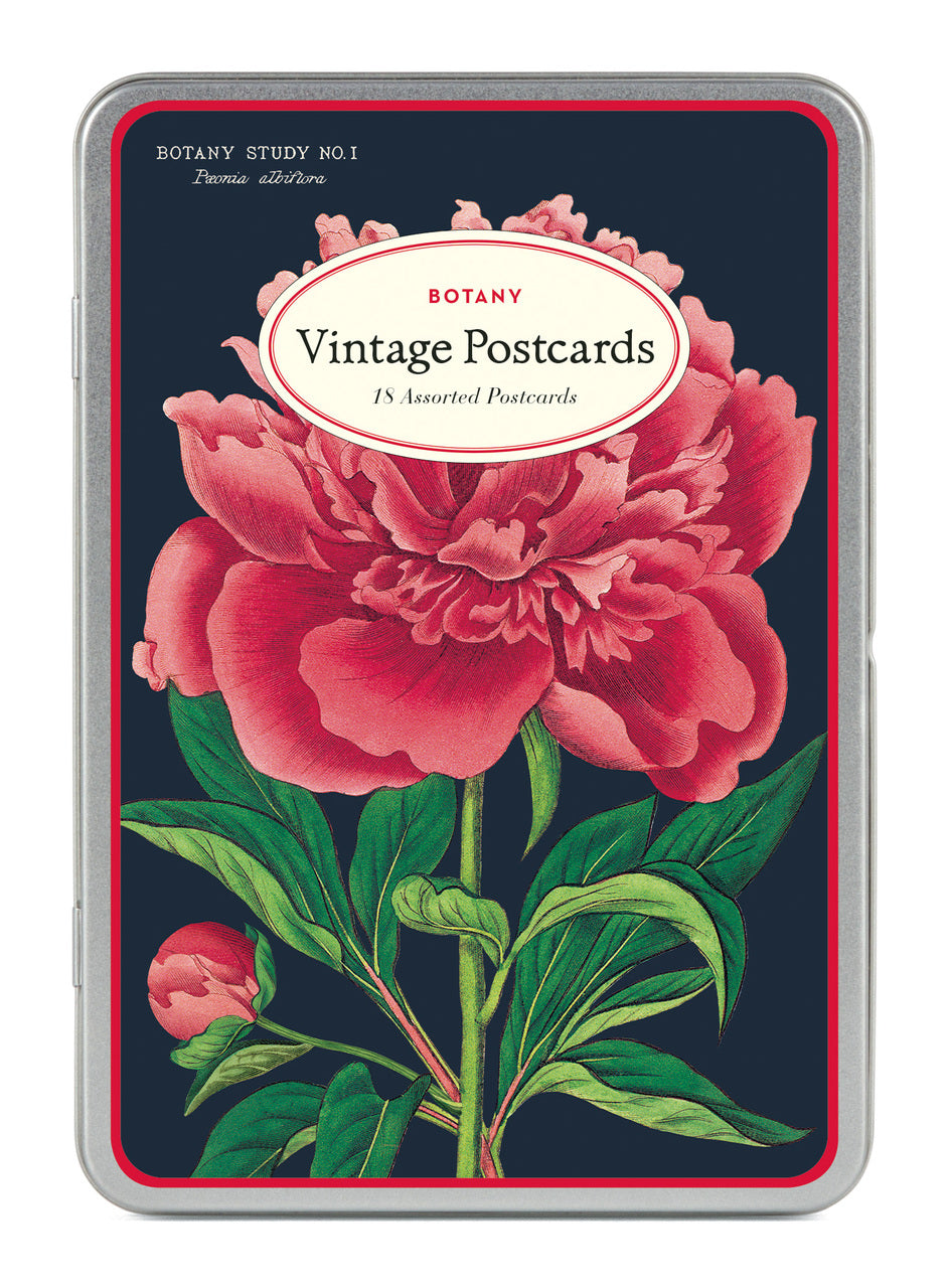 Botanica Vintage Postcards by Cavallini & Co. measure approximately 3 7/8 by 5 3/4 inches and are perfect for everyday correspondence.