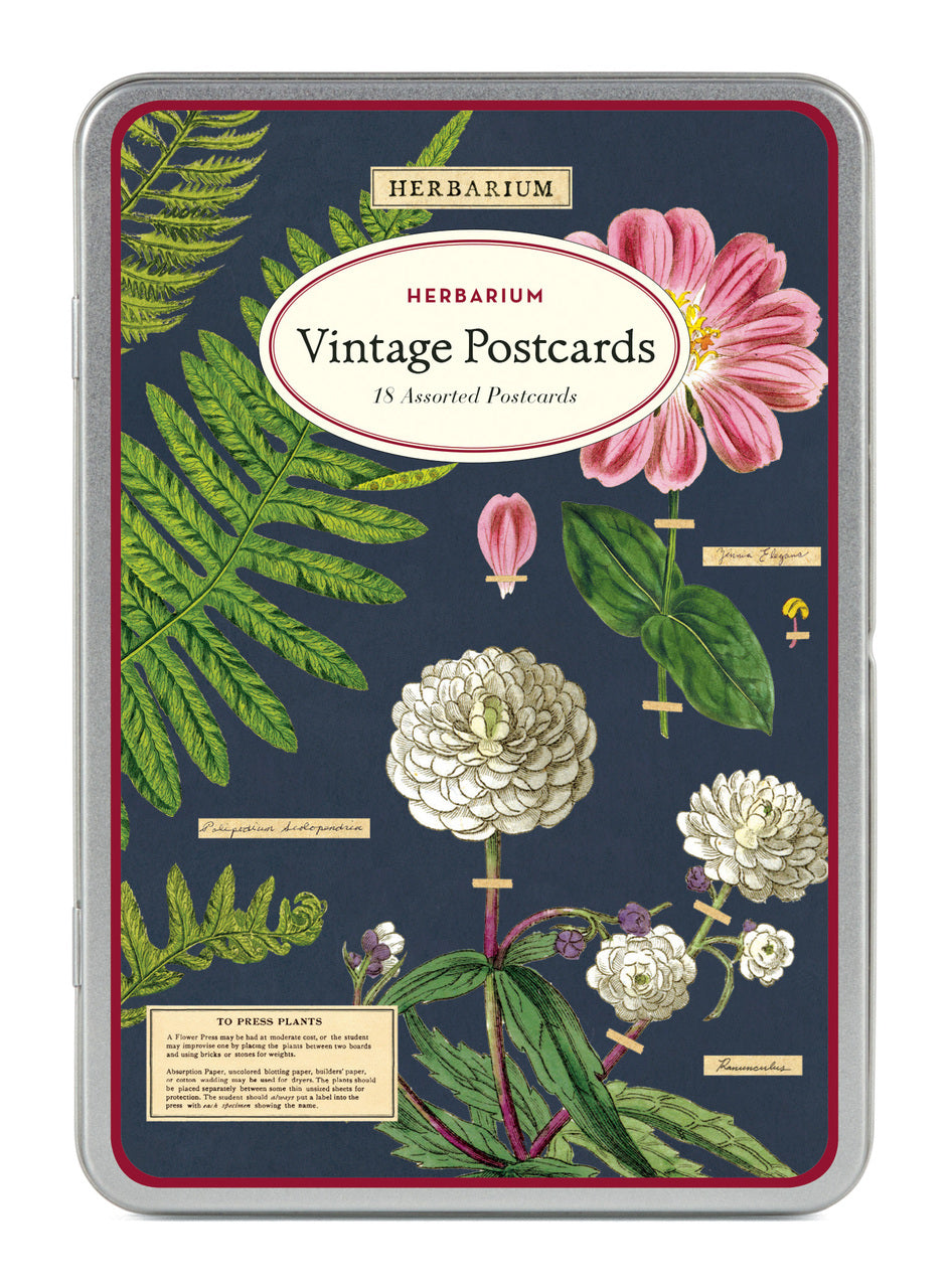 Herbarium Vintage Postcards by Cavallini & Co. measure approximately 3 7/8 by 5 3/4 inches and are perfect for everyday correspondence.