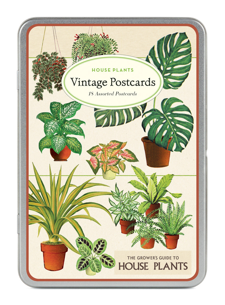 House Plants Vintage Postcards by Cavallini & Co. measure approximately 3 7/8 by 5 3/4 inches and are perfect for everyday correspondence.