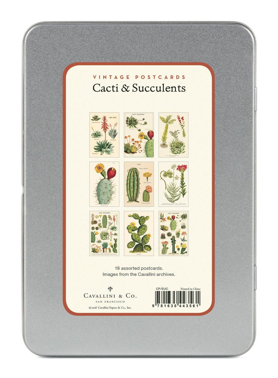 cacti succulents poster Cacti & Succulents Vintage Postcards by Cavallini & Co. — Two Hands Paperie