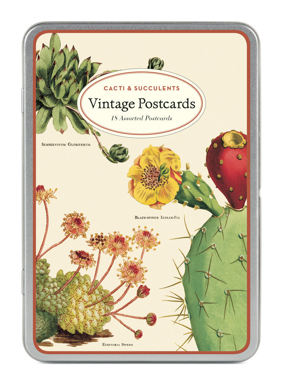 Cacti & succulents Vintage Postcards are new for 2018. 