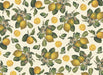Rossi 1931 Italian Decorative Paper- Lemons