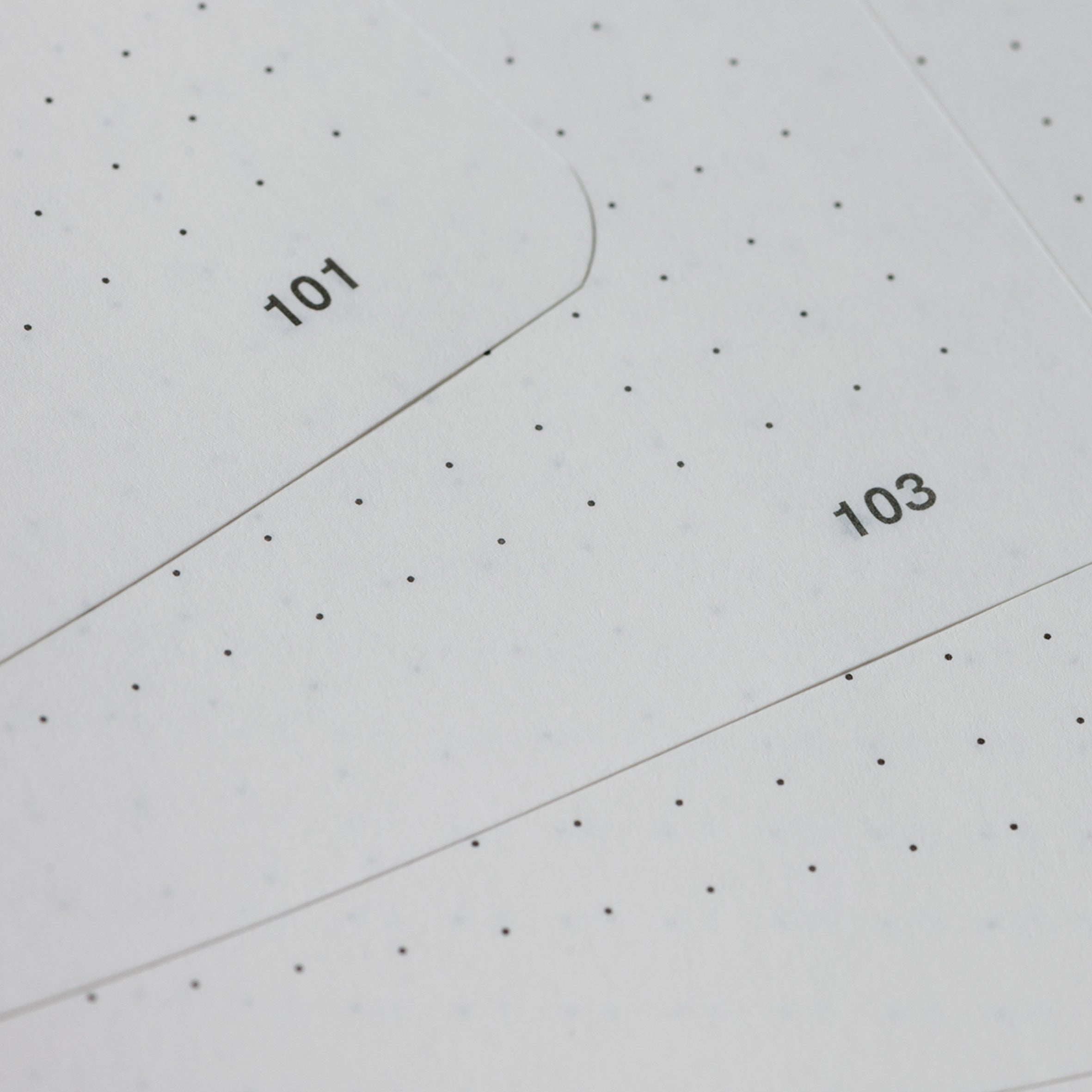 The Ruled and Dotted layouts come with numbered pages. 