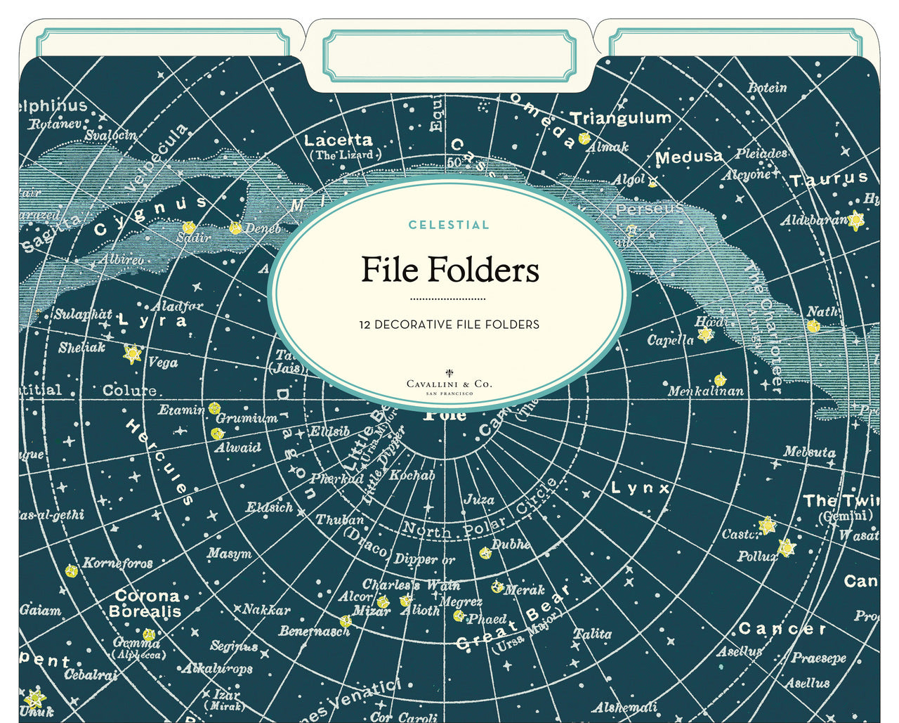 Celestial File Folder set by Cavallini & Co.- brighten up your filing chores with night sky maps!