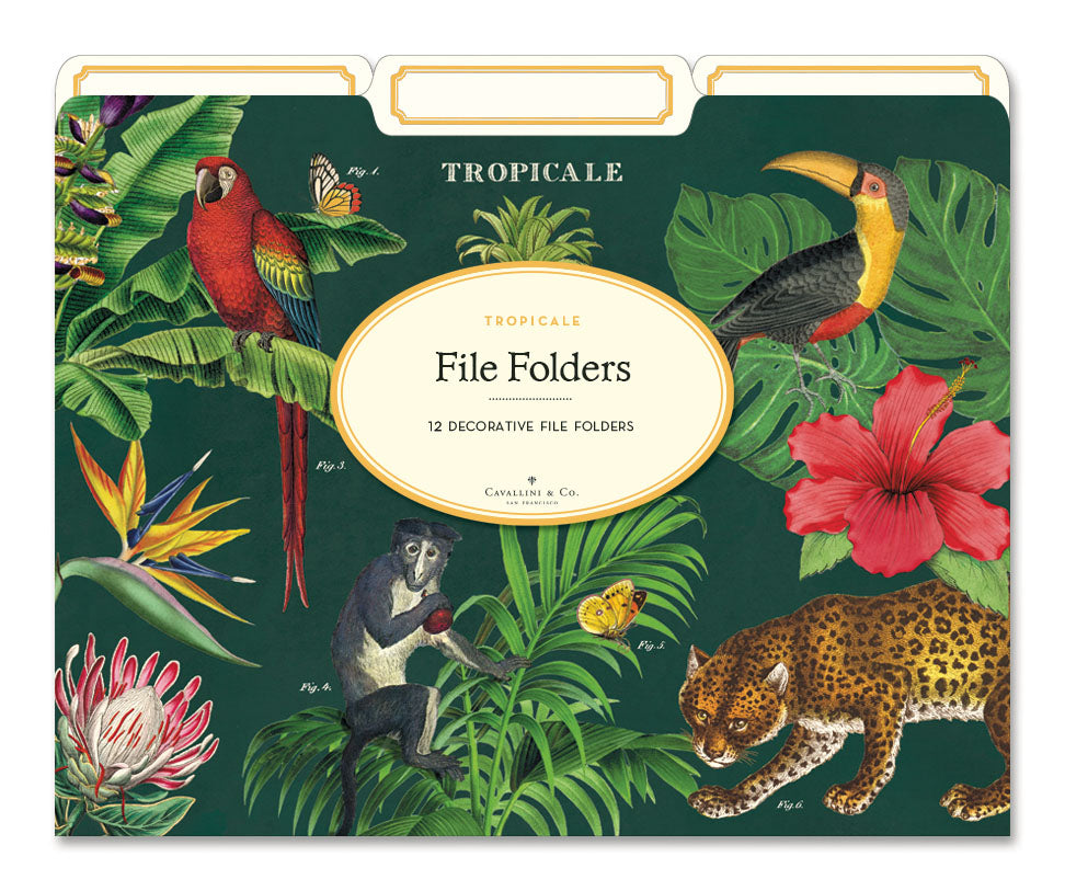 Cavallini & Co. Tropicale File Folders