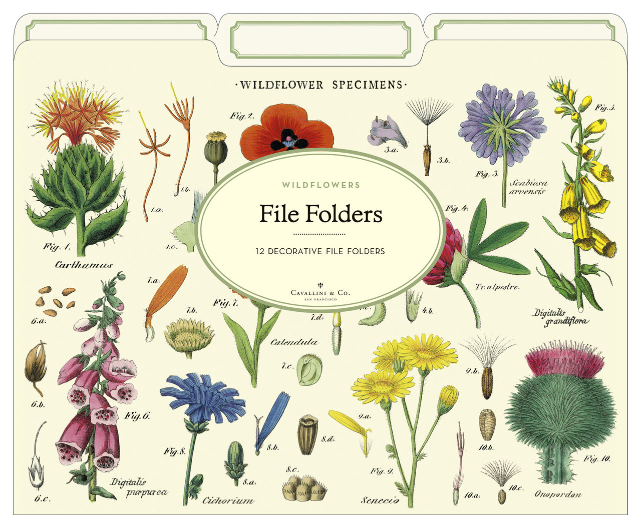 Wildflowers are a hit this year. Cavallini's vintage floral images adorn these Dandelion File Folders. 