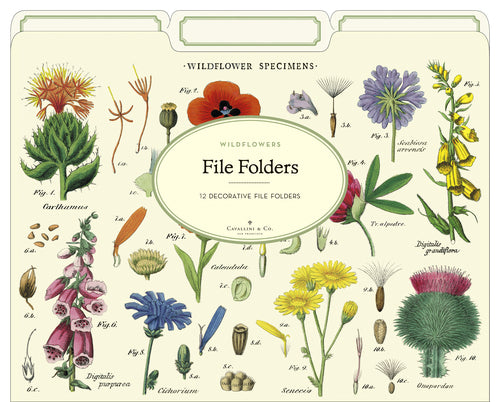 Cavallini & Co. Wildflowers File Folders