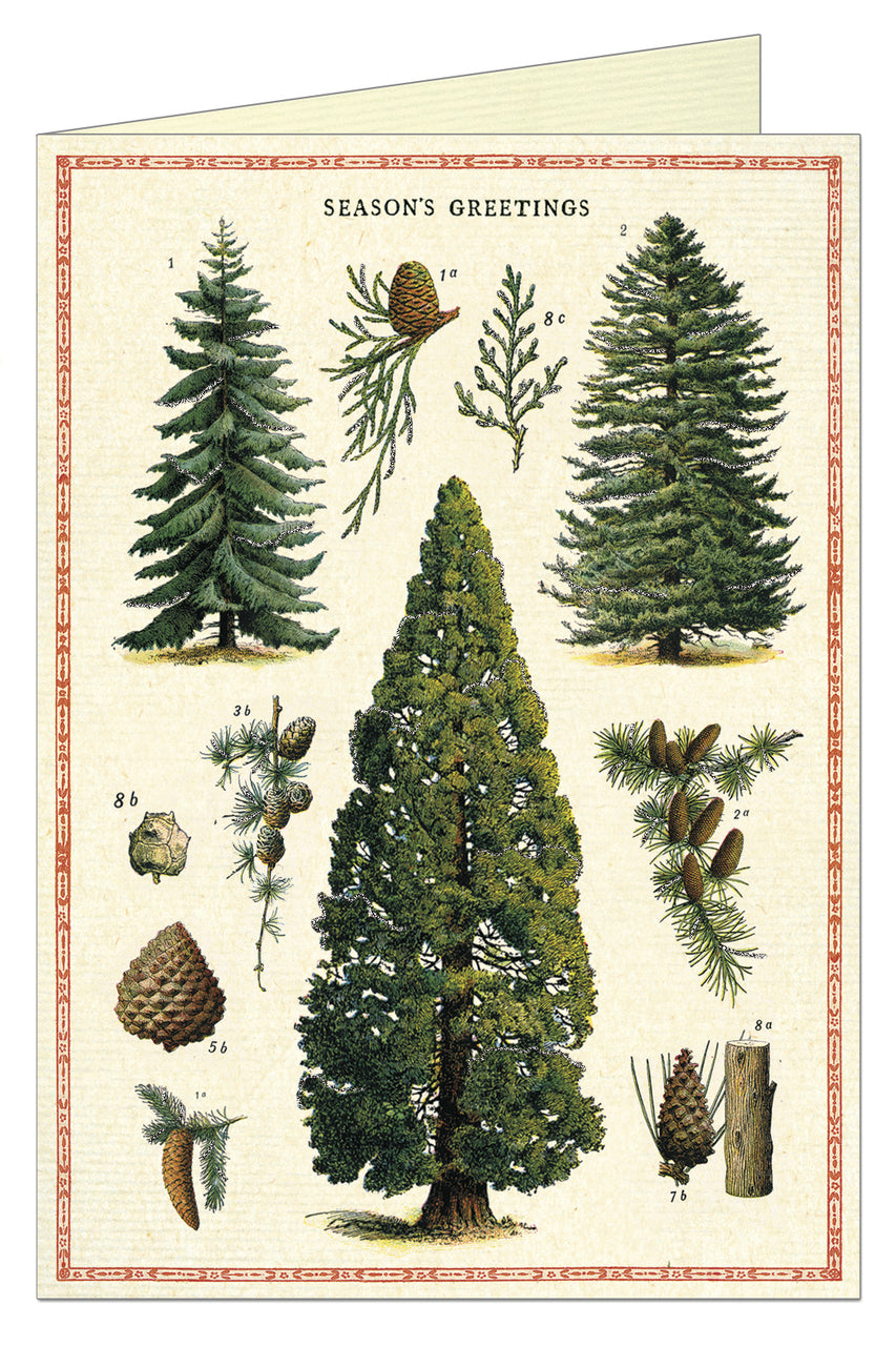 Cavallini & Co. Christmas Trees Blank Single Holiday Card