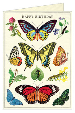 Cavallini & Co. Happy Birthday Butterflies Single Card
