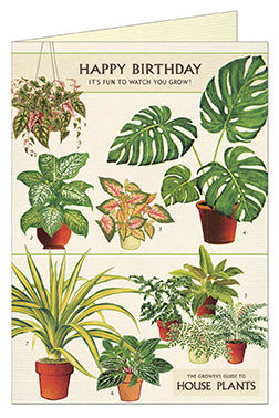 Cavallini & Co. Happy Birthday House Plants Single Card- blank inside