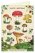 Cavallini & Co. Happy Birthday Mushrooms Single Card